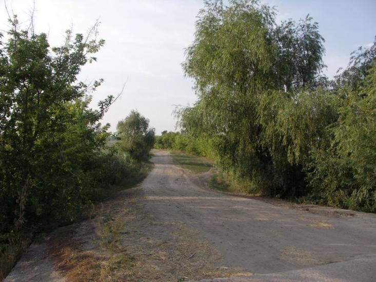 Дмитрівка з panoramio.com - Дмитрівка