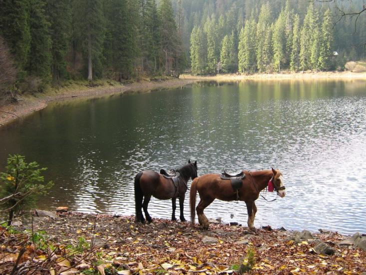 Синевир з panoramio.com - Синевир