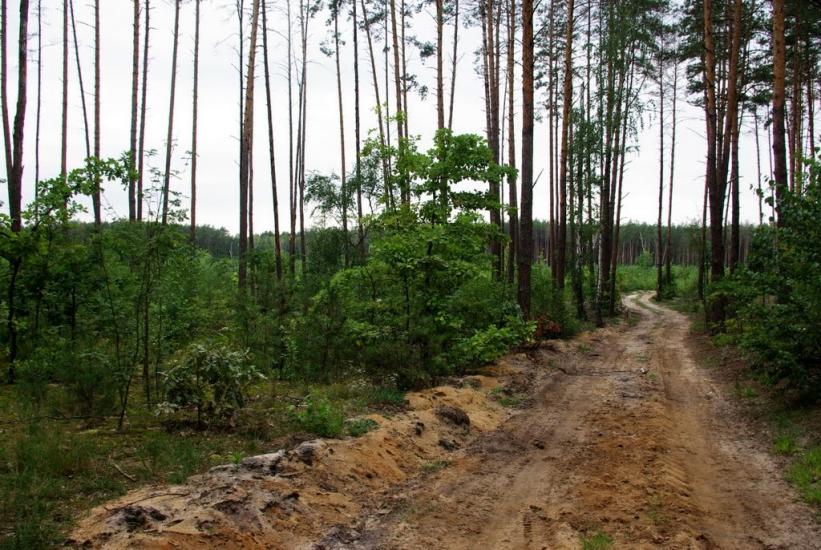 Клавдієво-Тарасове з panoramio.com - Клавдієво-Тарасове