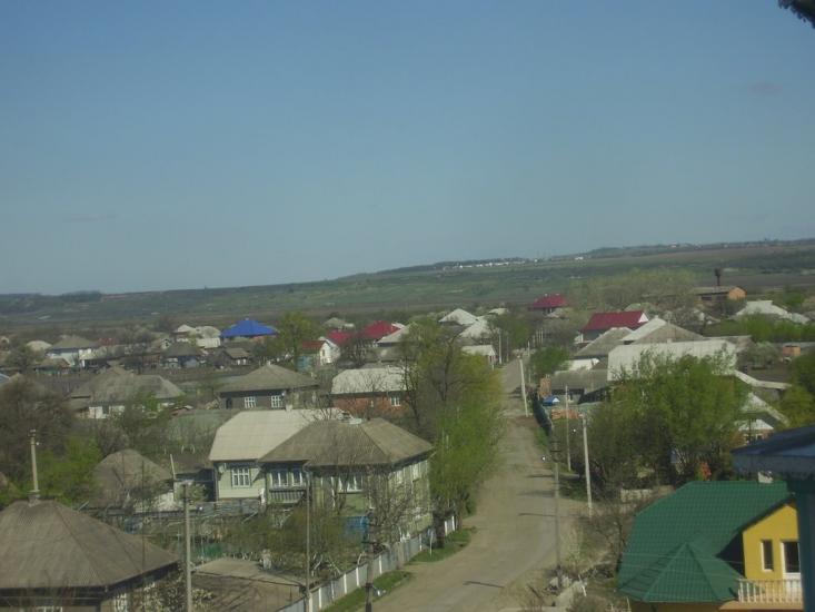 Тарасівці з panoramio.com - Тарасівці