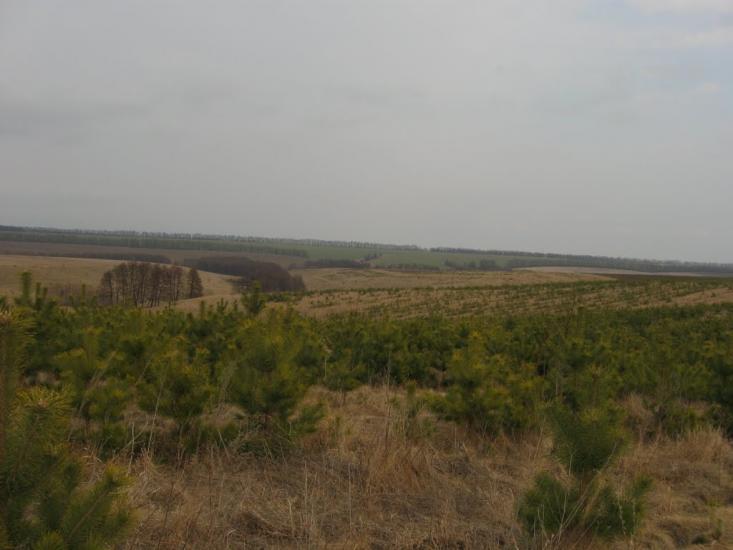 Ярмолинці з panoramio.com - Ярмолинці