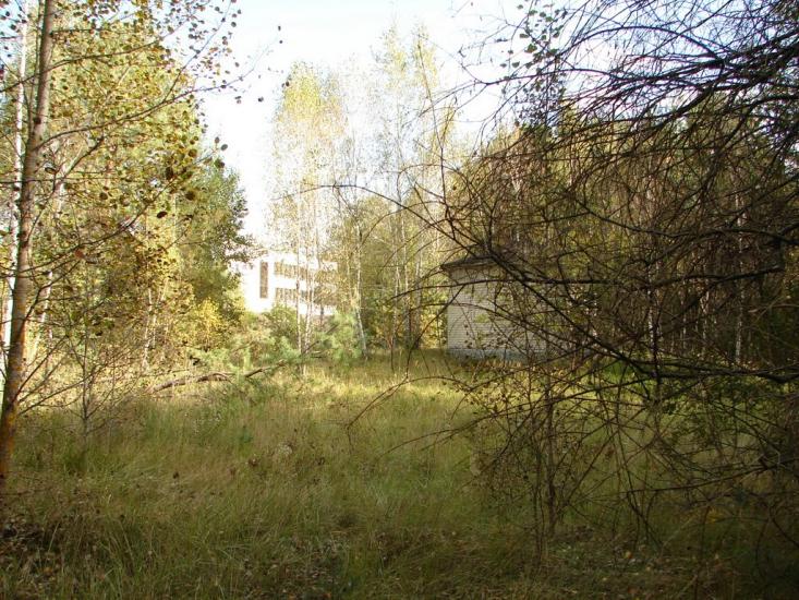 Шкуранка з panoramio.com - Шкуранка