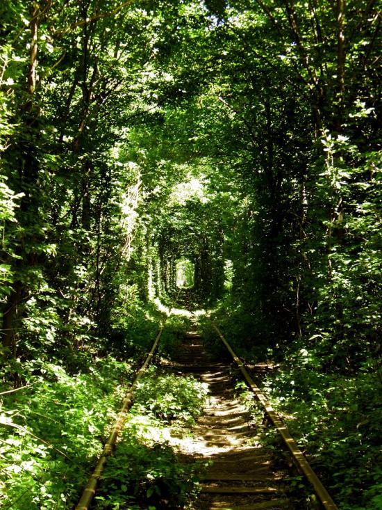 Клевань з panoramio.com - Klevan