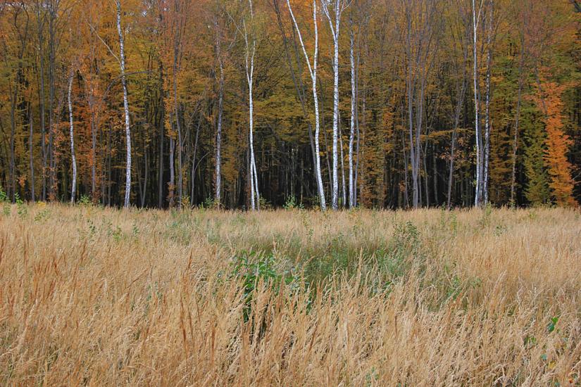 Хотивель з panoramio.com - Хотивель