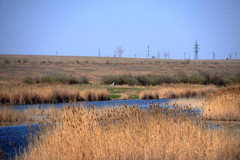Мала Тернівка з panoramio.com - Mala Ternivka