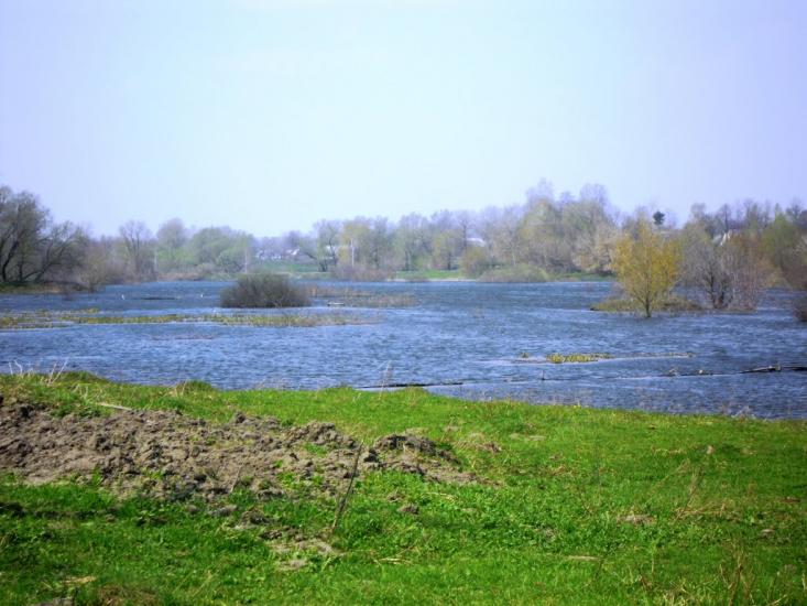 Сальниця з panoramio.com - Сальница