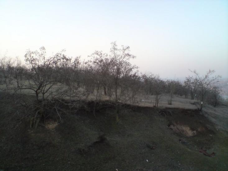 Нові Трояни з panoramio.com - Novi Troyany