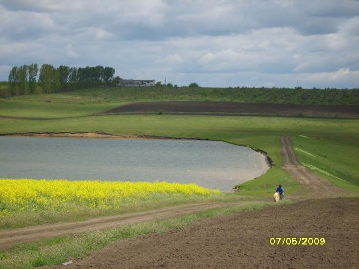 Сокиряни з panoramio.com - Сокиряни
