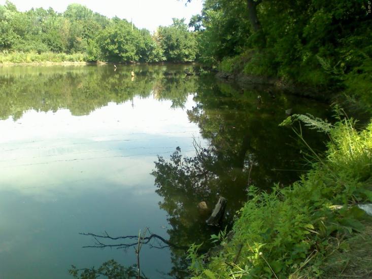 Селезнівка з panoramio.com - Селезневка