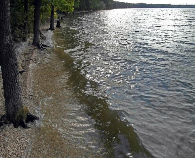 Зелений Гай з panoramio.com - Зеленый Гай