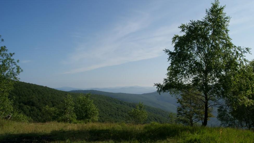 Синяк з panoramio.com - Синяк