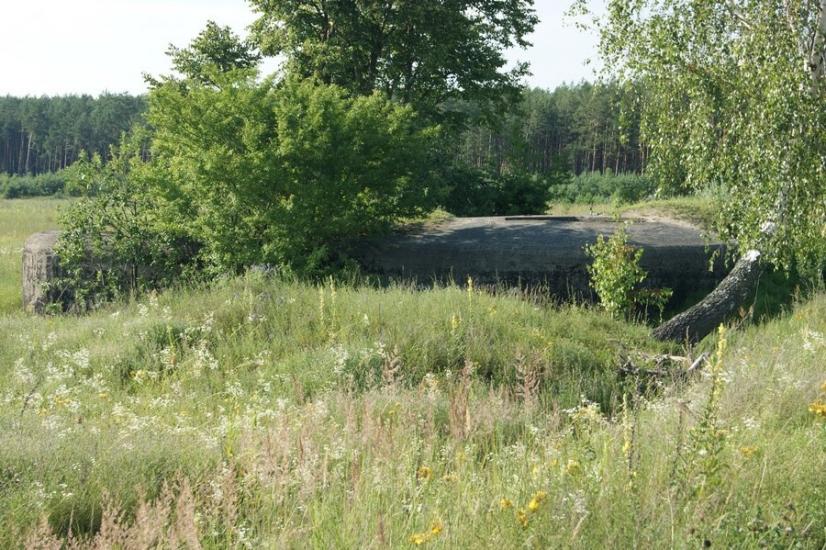 Велика Любаша з panoramio.com - Велика Любаша
