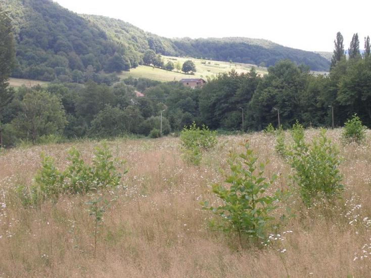 Обава з panoramio.com - Обава