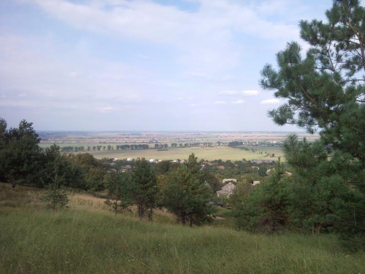 Гринів з panoramio.com - Гринів