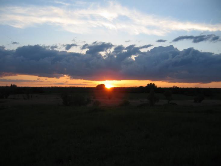Нова Семенівка з panoramio.com - Нова Семенівка