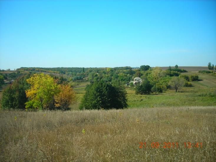 Цапівка з panoramio.com - Tsapivka