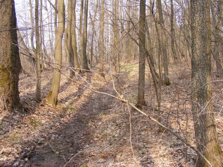 Кузьки з panoramio.com - Кузьки