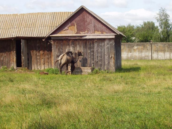 Мена з panoramio.com - Мена
