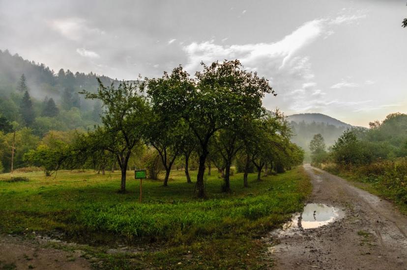 Чорноголова з panoramio.com - Черноголова