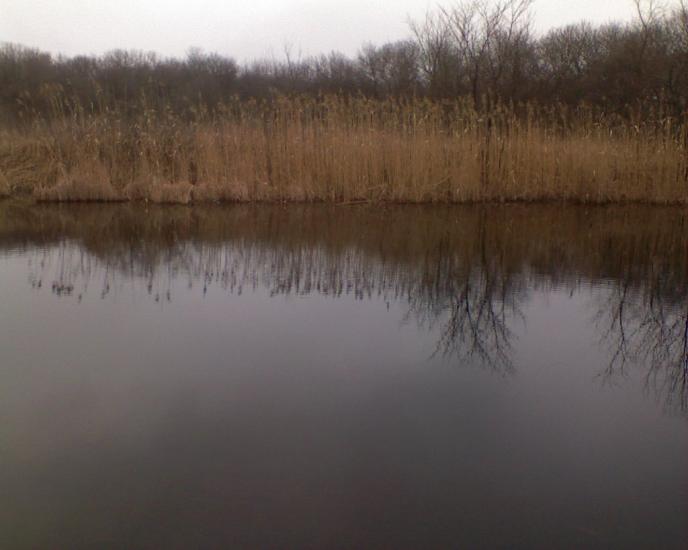 Спаське з panoramio.com - Спасское