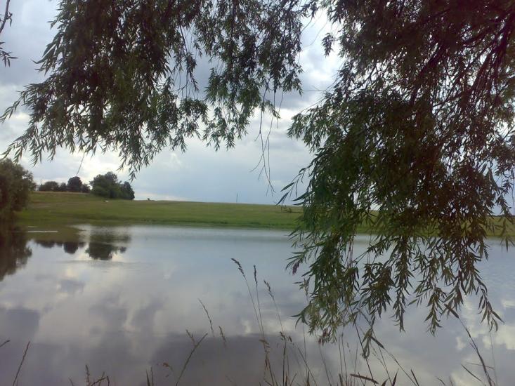 Виноградівка з panoramio.com - Виноградівка