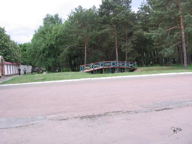 Дівички з panoramio.com - Девички