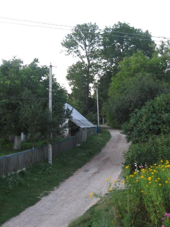 Скипче з panoramio.com - Скипче