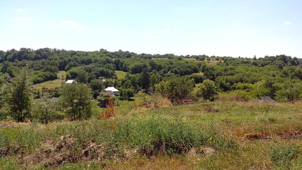 Моринці з panoramio.com - Moryntsi