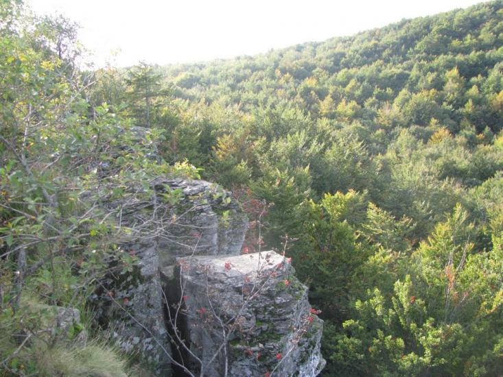 Синяк з panoramio.com - Синяк