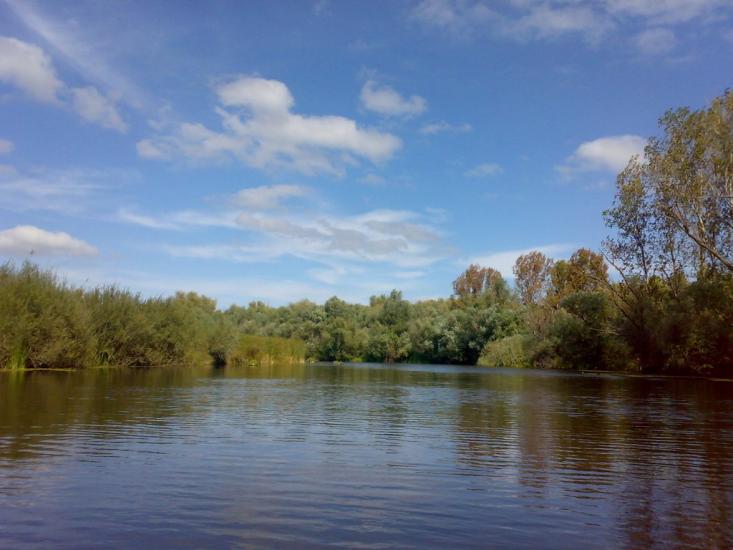 Новосільське з panoramio.com - Novosilske