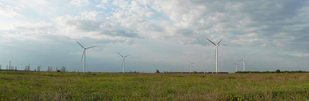 Солончаки з panoramio.com - Солончаки