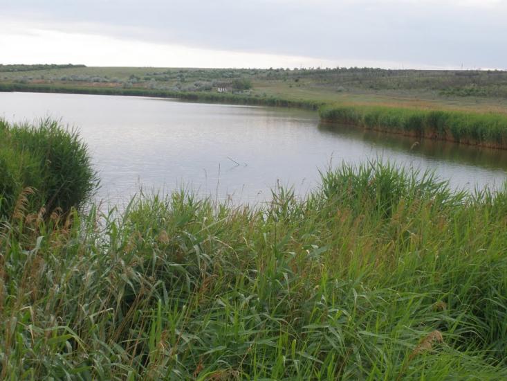 Афанасіївка з panoramio.com - Афанасьевка