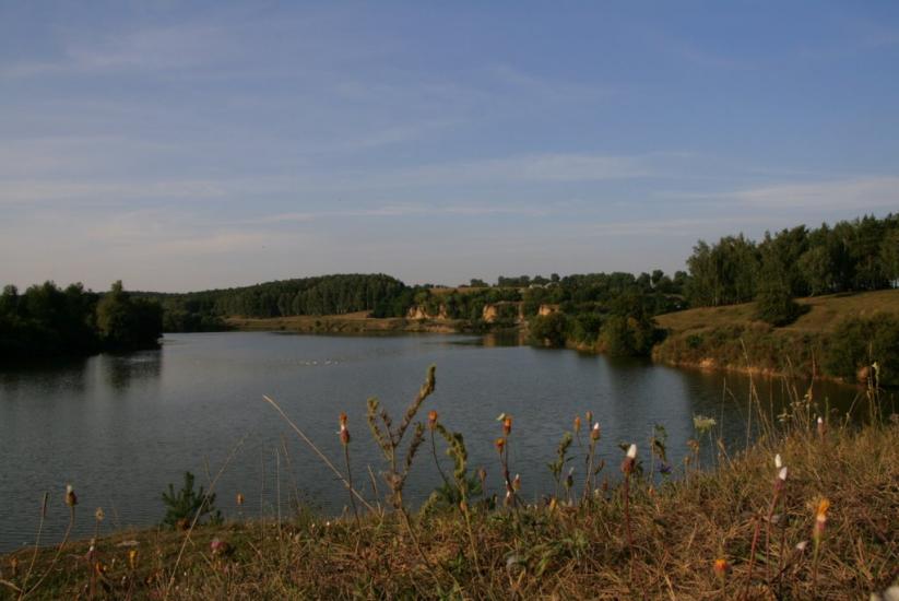 Павлівка з panoramio.com - Павлівка