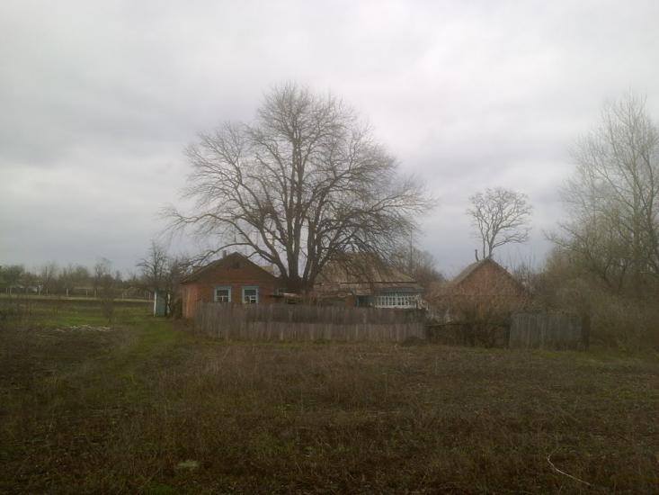 Волохів Яр з panoramio.com - Волохів Яр