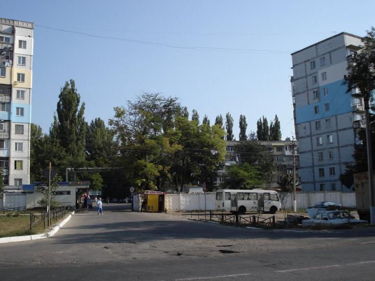 Нова Дофінівка з panoramio.com - Новая Дофиновка
