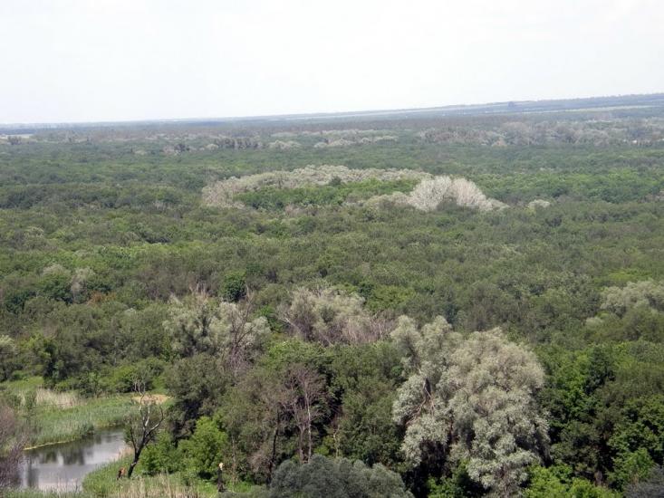 Співаківка з panoramio.com - Спеваковка