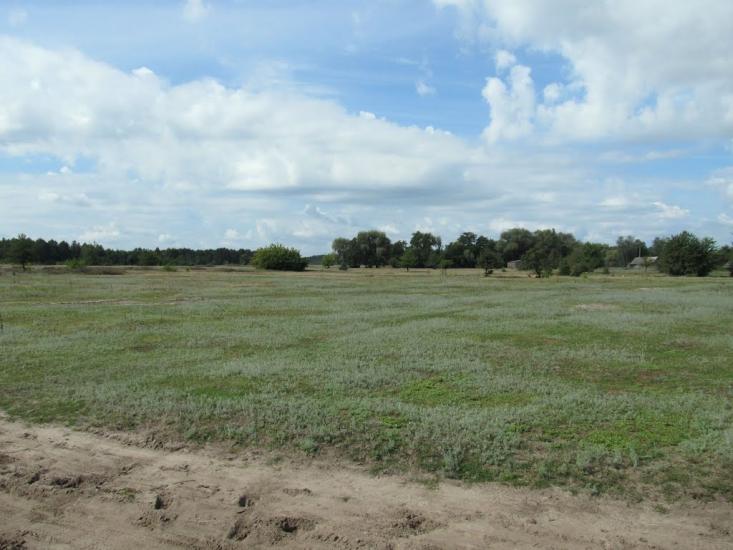 Грушівка з panoramio.com - Грушівка