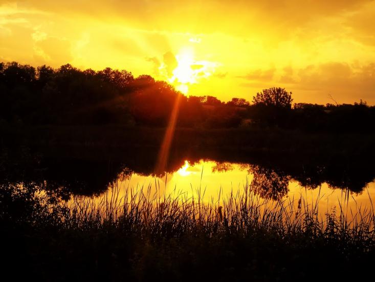 Грушівка з panoramio.com - Грушівка