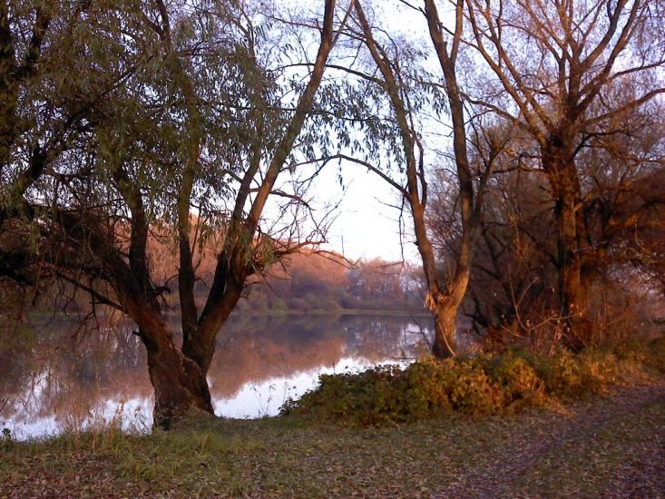 Вища Дубечня з panoramio.com - Высшая Дубечня