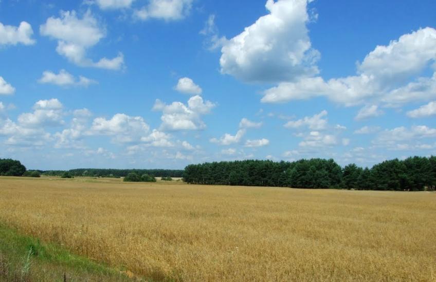 Бахів з panoramio.com - Бахів