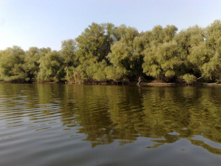 Яськи з panoramio.com - Яськи