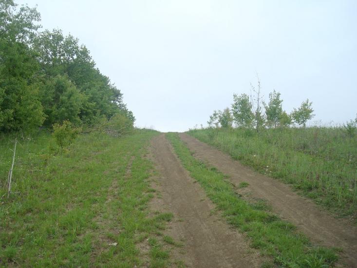Мацьківці з panoramio.com - Мацьковцы