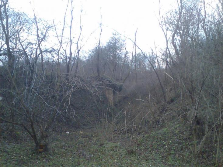 Блищанівка з panoramio.com - Блещановка