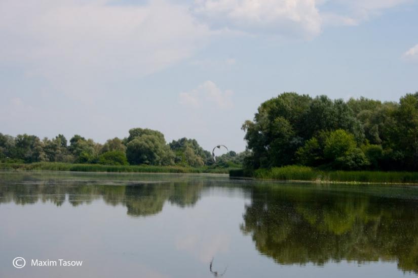 Комсомольськ з panoramio.com - Комсомольск