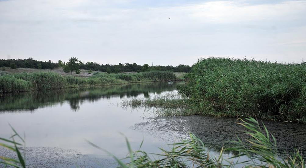 Мала Тернівка з panoramio.com - Мала Тернівка