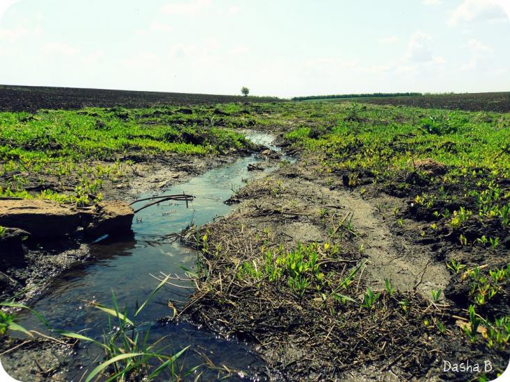 Дачне з panoramio.com - Дачне