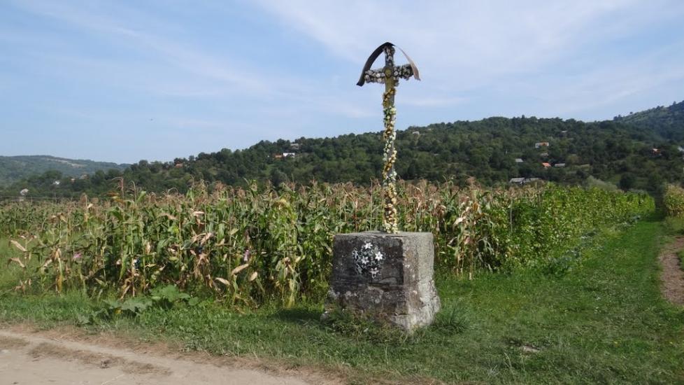 Луг з panoramio.com - Луг
