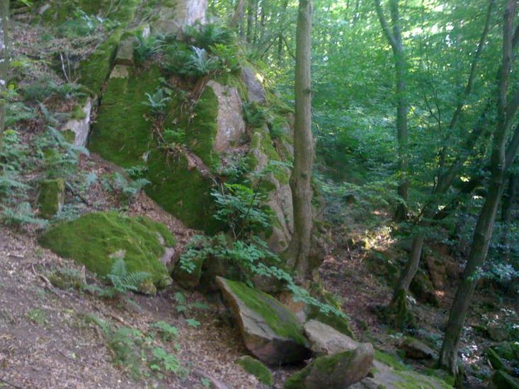 Коржів з panoramio.com - Коржів