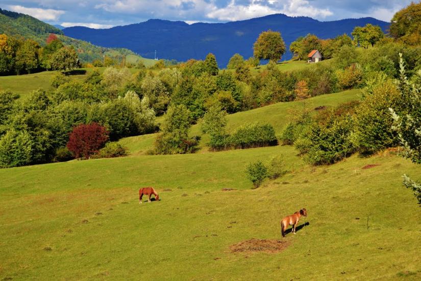 Росішка з panoramio.com - Rosishka