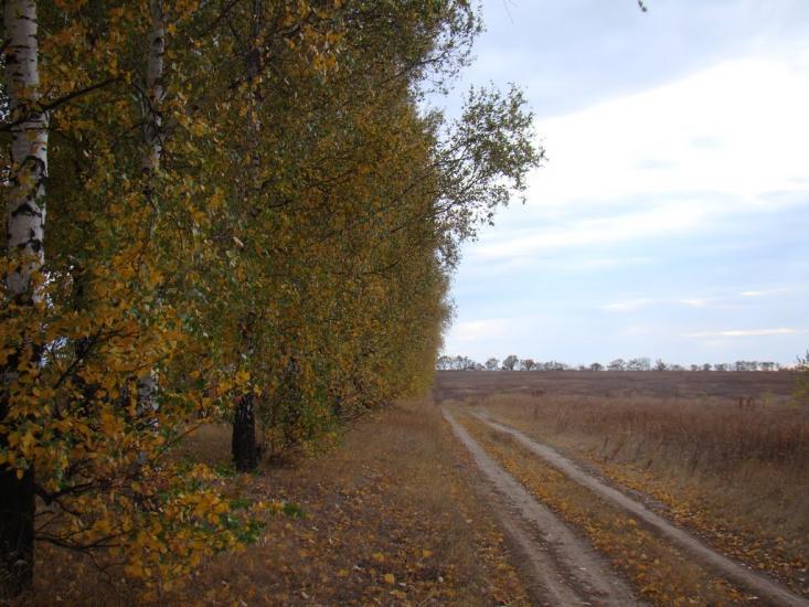Дергачі з panoramio.com - Дергачи